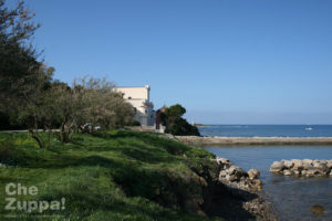 Casa Zarotti - Cilento, Castellabate (Salerno)