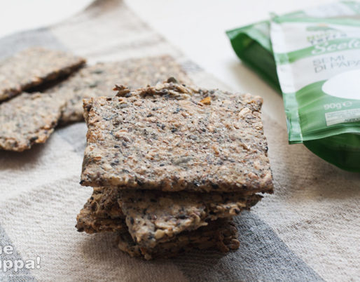 Crackers integrali ai semi Nuova Terra